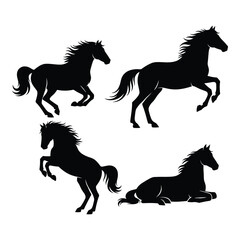 Dynamic silhouette horse poses capturing movement and graceful form collection silhouette