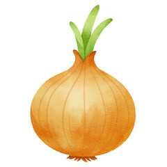 Cute watercolor onion with green sprout. Perfect for food clipart, recipe cards, kitchen decor, and kids&rsquo; learning.