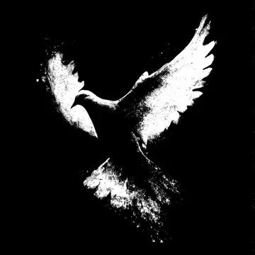 Dramatic high contrast white bird silhouette with a grunge texture on black background