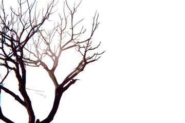 Abstract Pixelated Branching Tree Silhouette