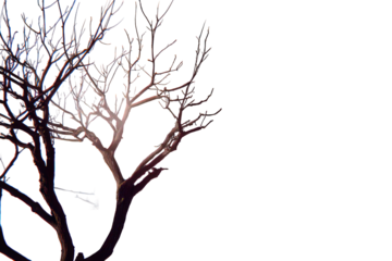 Abstract Pixelated Branching Tree Silhouette