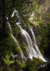 Wide Waterfall Cascading Over Rocks in Lush Green Forest