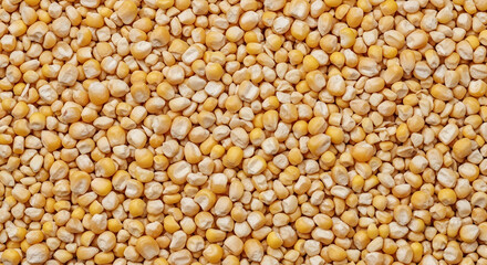 Close-up of golden dried corn kernels creating a natural textured background, ideal for food, agriculture, and healthy eating concepts.