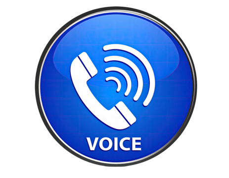 Round, glossy blue button with white phone icon and "VOICE" text (2)