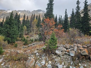 autumn in the mountains In ala Archa National Park Kyrgyzstan 