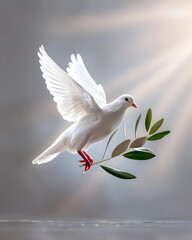 White dove of peace with olive branch soaring in sunlight representing hope and serenity