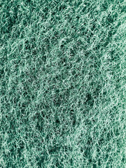 green sponge texture