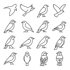 Collection of diverse bird silhouettes and line art drawings in various poses silhouette