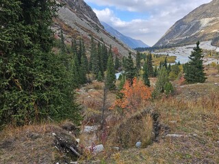 A beautiful view In ala Archa National Park Kyrgyzstan 