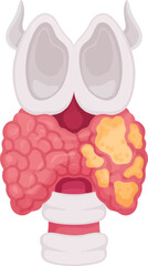 a pair of female shoes