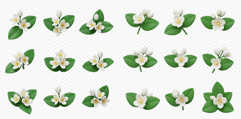 Collection of jasmine flower arrangements with green leaves, featuring various angles and compositions on a transparent background.