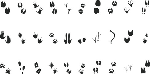 set of black ink splashes