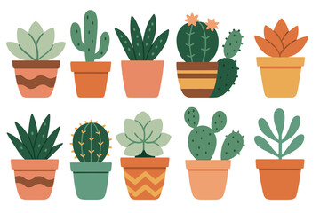 Vibrant succulent and cactus vector illustration for home decor and prints