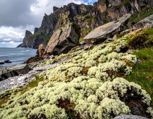 Rocky shoreline with white moss