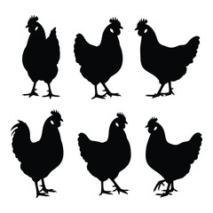 Six distinct chicken silhouettes representing different poses for farm and countryside designs silhouette