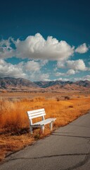 Empty white wooden park bench beside a paved road, golden-toned landscape, and dramatic sky