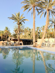 Visitors enjoy the tranquil atmosphere of an oasis in Tunisia with a beautiful swimming pool framed by palm trees under a sunny sky. Perfect for leisure and relaxation.
