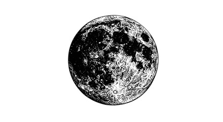 Detailed black and white moon texture in engraved style