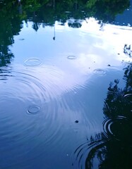 Rippled water reflecting sky