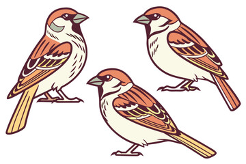 set of birds