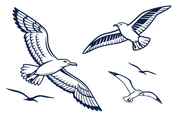 set of seagulls