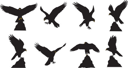 Silhouette eagle on rock, bird of prey, flying raptor, wild nature predator, majestic wings, falcon hunting, freedom flight, wildlife symbol