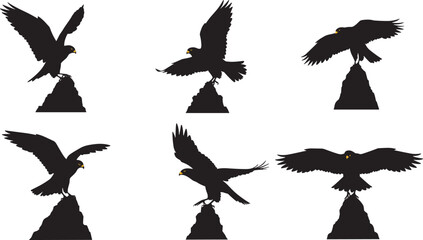 Silhouette eagle on rock, bird of prey, flying raptor, wild nature predator, majestic wings, falcon hunting, freedom flight, wildlife symbol