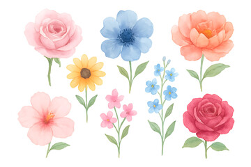 Naklejka premium Water color flowers on transparent background. 