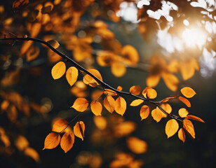 Autumn leaves on the tree