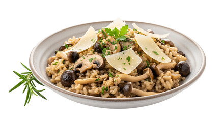 Mushroom risotto with parmesan cheese isolated on transparent background