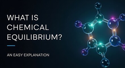 What is chemical equilibrium? 