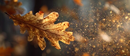Autumn oak leaf catches sunbeams amid falling particles, brown & gold hues
