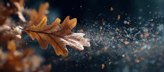 Autumnal oak leaf disintegrates into sparkling dust against a dark background