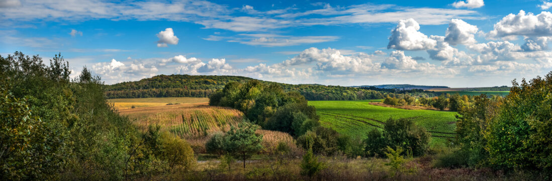 Panorama of green fields, arable land, road and forests under blue sky with white clouds