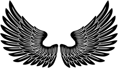 Fototapeta premium A pair of angel, eagle or pegasus feather wings illustration in an etched or engraving woodcut style