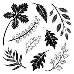 Organic Hand Drawn Leaf Symbols Black Line Set