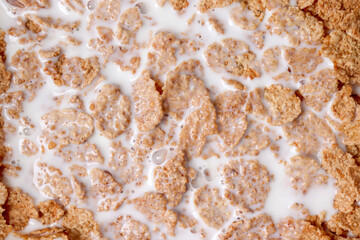 Cereal with fresh milk. White milk poured over the crunchy texture.