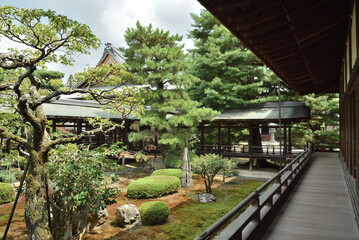 Fototapeta premium 大覚寺 庭園と村雨の廊下(京都市右京区)
