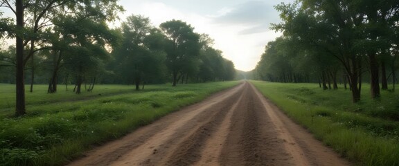 A dirt road in the middle of a lush green field.