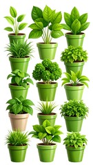 Fototapeta premium Potted plants in various styles