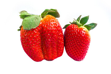 Bright red strawberries placed on a white background.