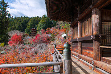 Wood terrace by colorful autumn garden and pagoda of Hasedera, Sakurai