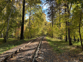 Autumn forest landscape in Siberia
