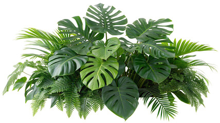 Lush tropical foliage and green monstera leaves create exotic jungle theme background concept