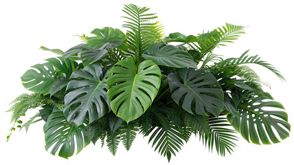 Lush greenery featuring monstera and ferns perfect for tropical interior decor inspiration