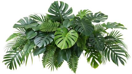 Lush tropical leaves and ferns create vibrant greenery pattern in nature-inspired arrangement