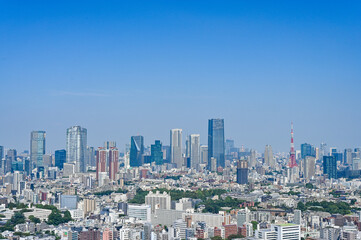 Obraz premium 日本の首都東京の都市風景