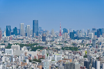 Fototapeta premium 日本の首都東京の都市風景