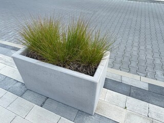 Modern concrete planter with clean lines and minimal design. Contemporary outdoor decoration for gardens, terraces, or patios.
