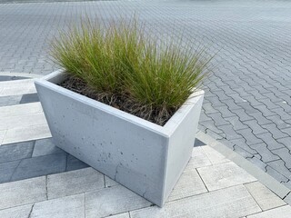Concrete planter with grass